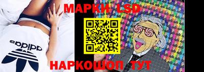 гашик Камышлов