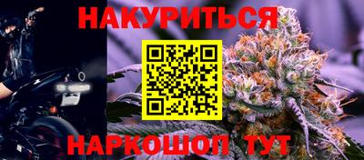 гашик Камышлов