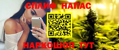 гашик Камышлов