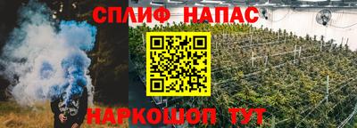 прущие крисы Кандалакша