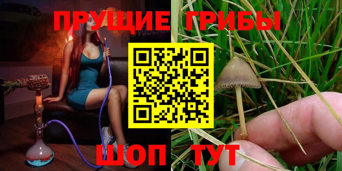 Галлюциногенные грибы GOLDEN TEACHER Калуга