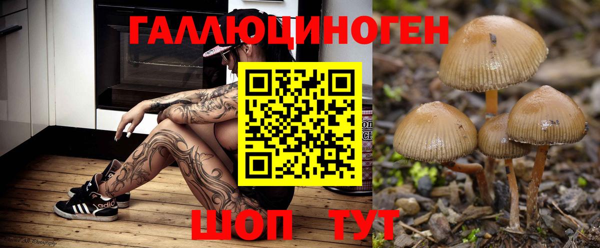 Галлюциногенные грибы MAGIC MUSHROOMS  Галлюциногенные грибы MAGIC MUSHROOMS  Калуга  Вход с VPN 