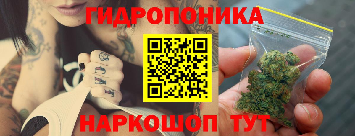 Бошки марихуана гибрид  Шишки марихуана тримм  Вход с VPN  Шишки марихуана VHQ  Калуга  Канабис тримм 